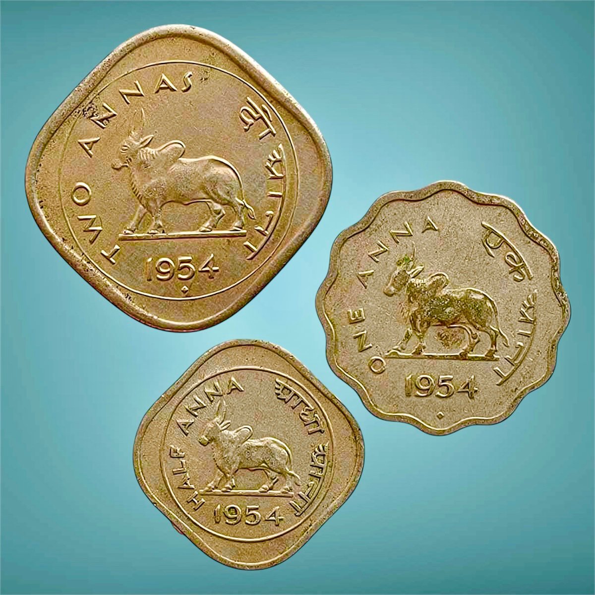 Photoroom_20260301_091807